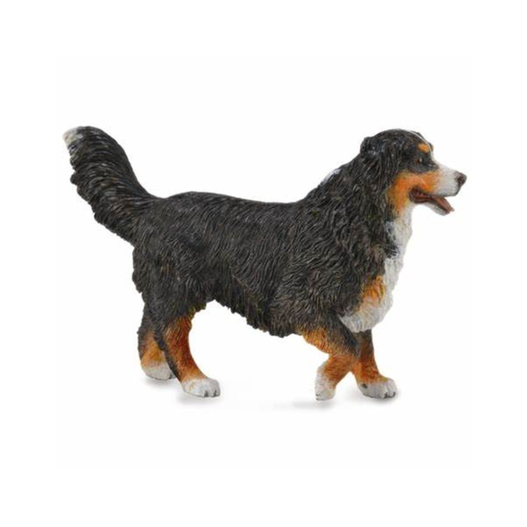 CollectA Bernese Mountain Dog