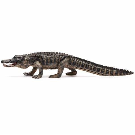 CollectA American Alligator