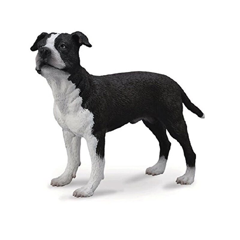 CollectA American Staffordshire Terrier