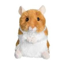 Douglas Brushy Hamster