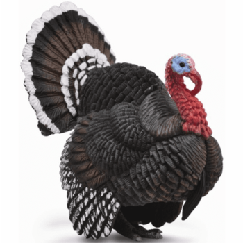 CollectA Turkey