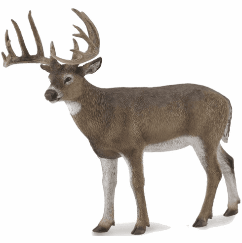 CollectA White-Tailed Deer