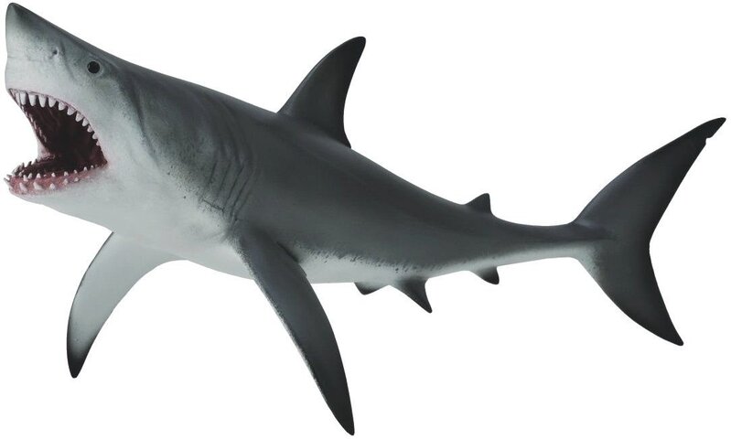 CollectA Great White Shark