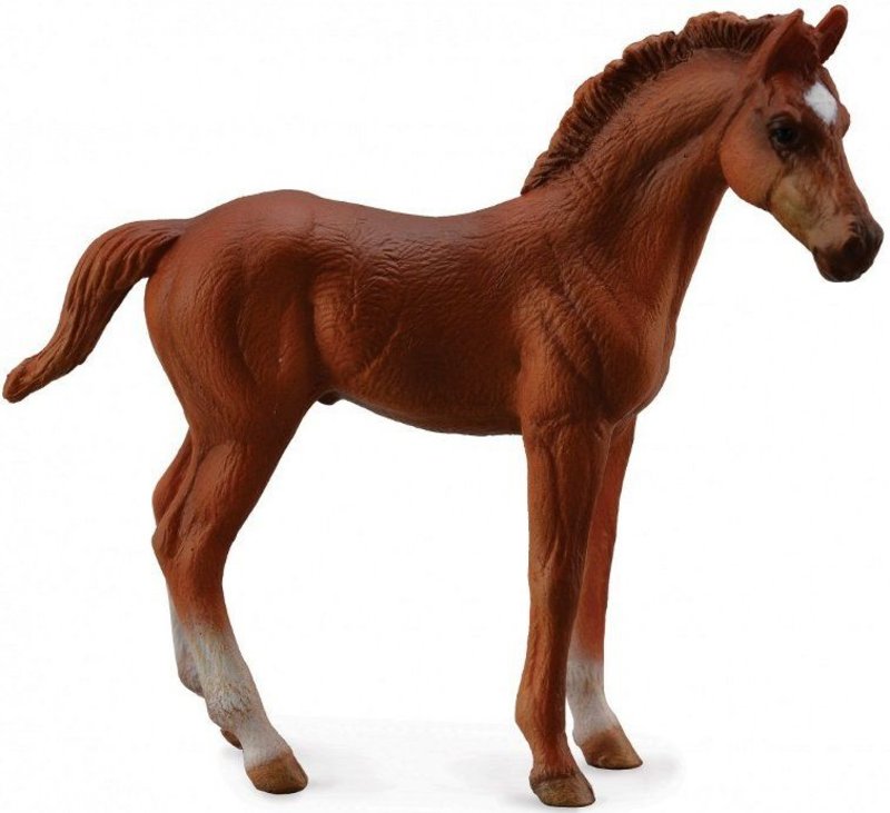 CollectA Chestnut Thoroughbred Foal - Standing