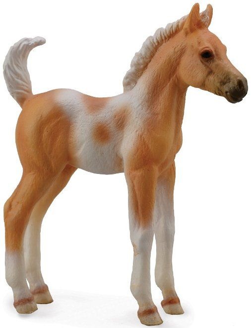 CollectA Palomino Pinto Foal