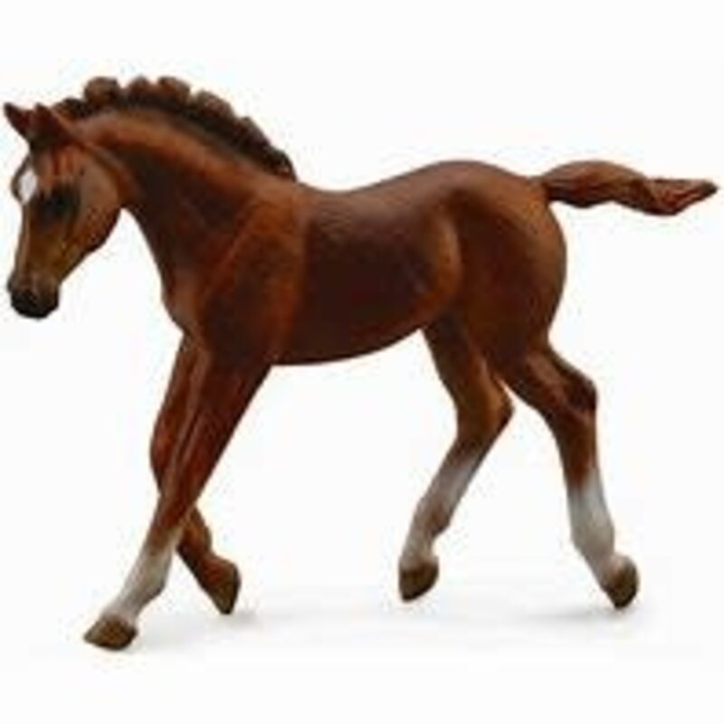 CollectA xChestnut Thoroughbred Foal - Walking