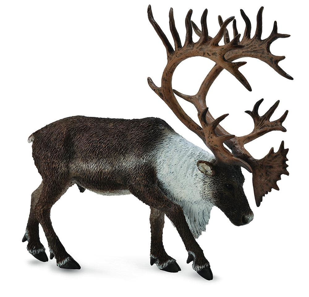 CollectA Woodland Caribou