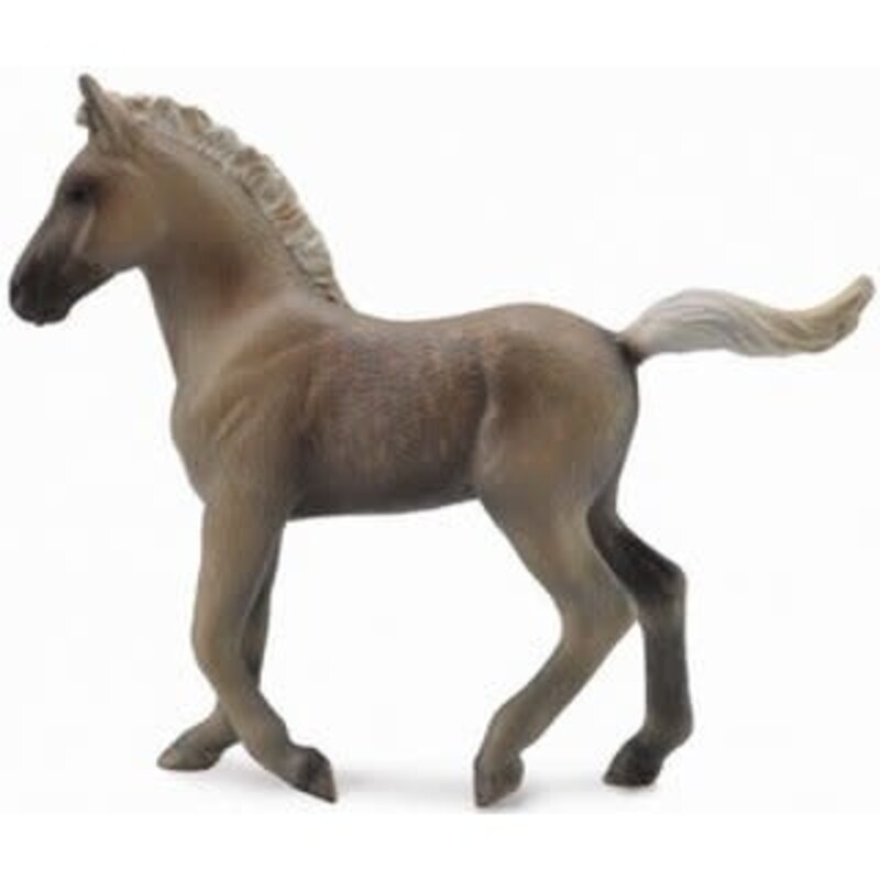 CollectA Chocolate Rocky Mountain Foal