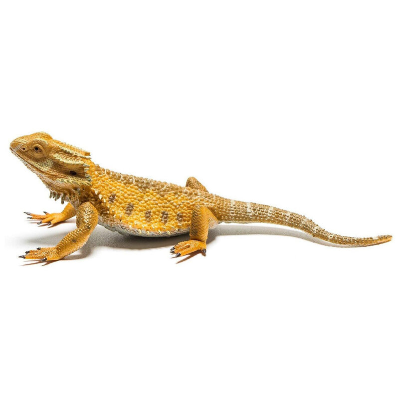 CollectA Bearded Dragon Lizard