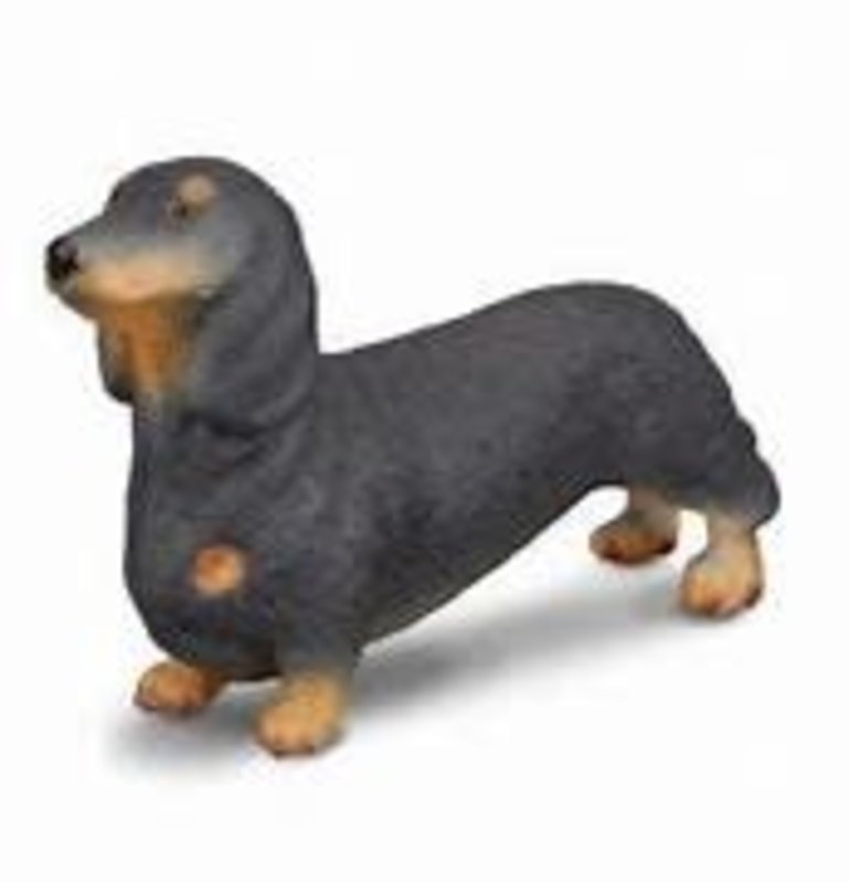 CollectA Dachshund