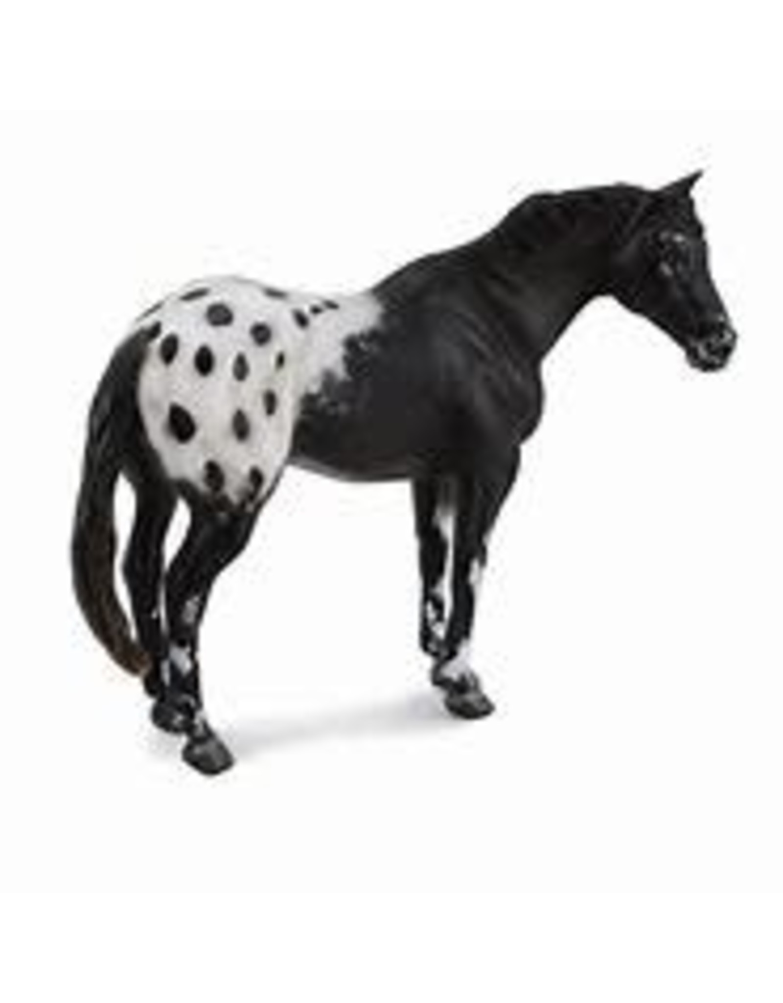 CollectA Black Appaloosa Stallion