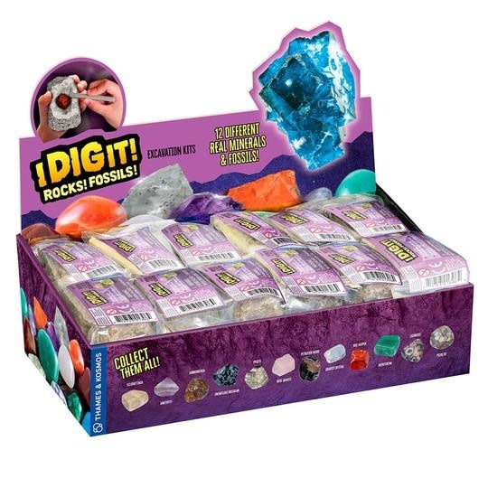Thames and Kosmos I Dig It! Rocks & Fossils - Mini Excavation (24-pc Display)