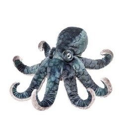 Douglas Winky Octopus