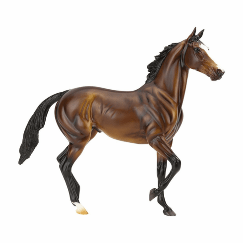 Breyer Tiz the law