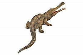CollectA Sarcosuchus
