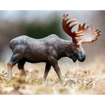 CollectA Moose
