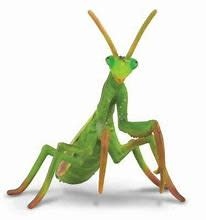 CollectA Praying Mantis