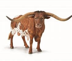 CollectA Texas Longhorn Bull