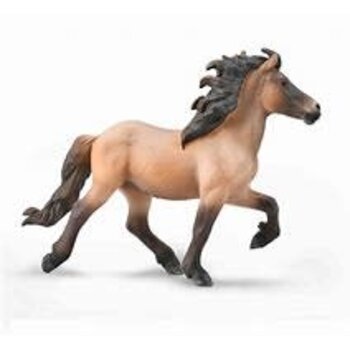 CollectA Icelandic Stallion
