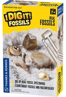 Thames and Kosmos I Dig It! Fossils - Real Fossils Excavation Kit