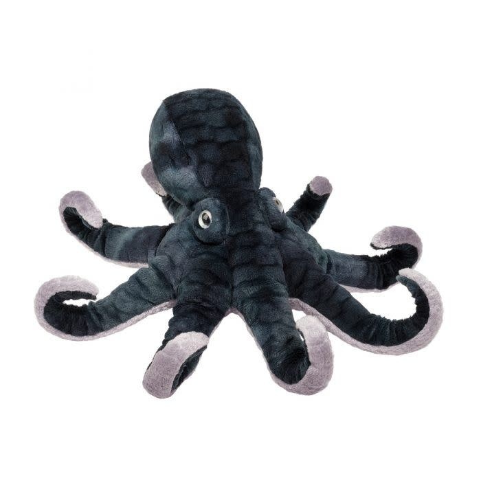 Douglas Winky Octopus