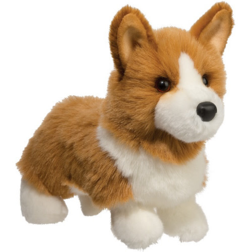Douglas Louie Corgi