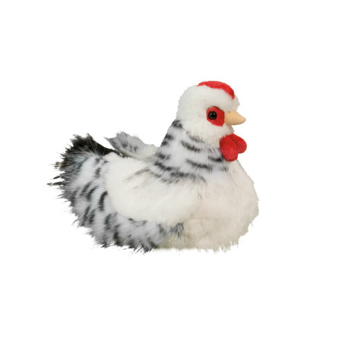 Douglas Salty Black And White Hen