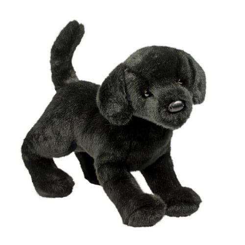 Douglas Chester Black Lab