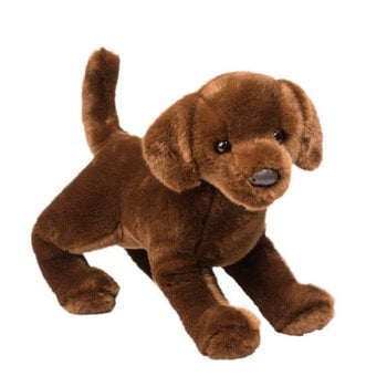 Douglas Cocoa Chocolate Lab 16"