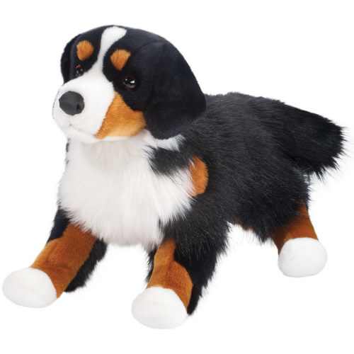 Douglas Alps Bernese Mountain Dog, Floppy