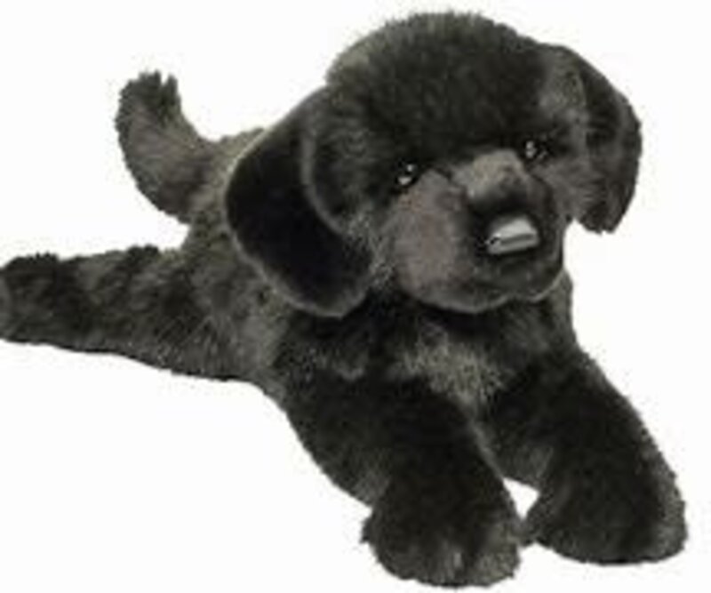 Douglas Jake DLux Black Lab 21" long