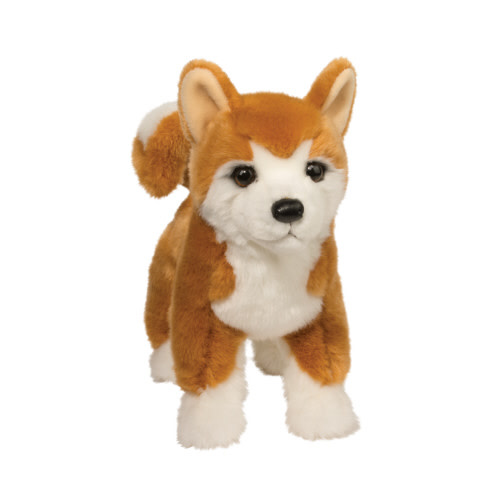 Douglas Dunham Shiba Inu