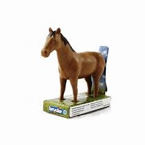 Bruder Bruder, Brown Horse