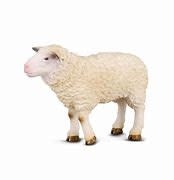 CollectA Sheep