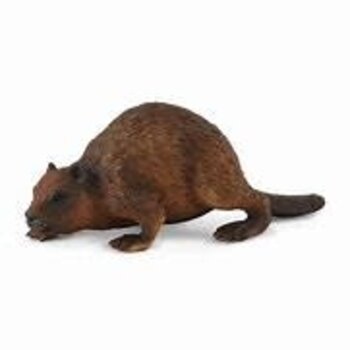 CollectA Beaver