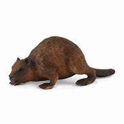 CollectA Beaver