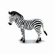 CollectA Common Zebra