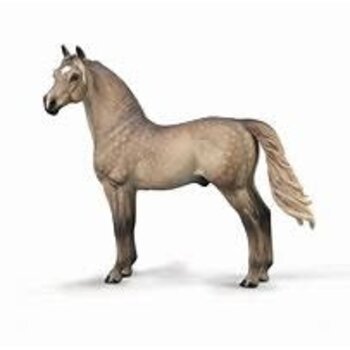 CollectA Morgan Stallion