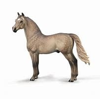 CollectA Morgan Stallion