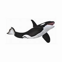 CollectA Orca
