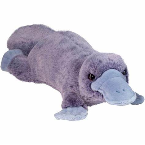 Douglas Allie Platypus Soft