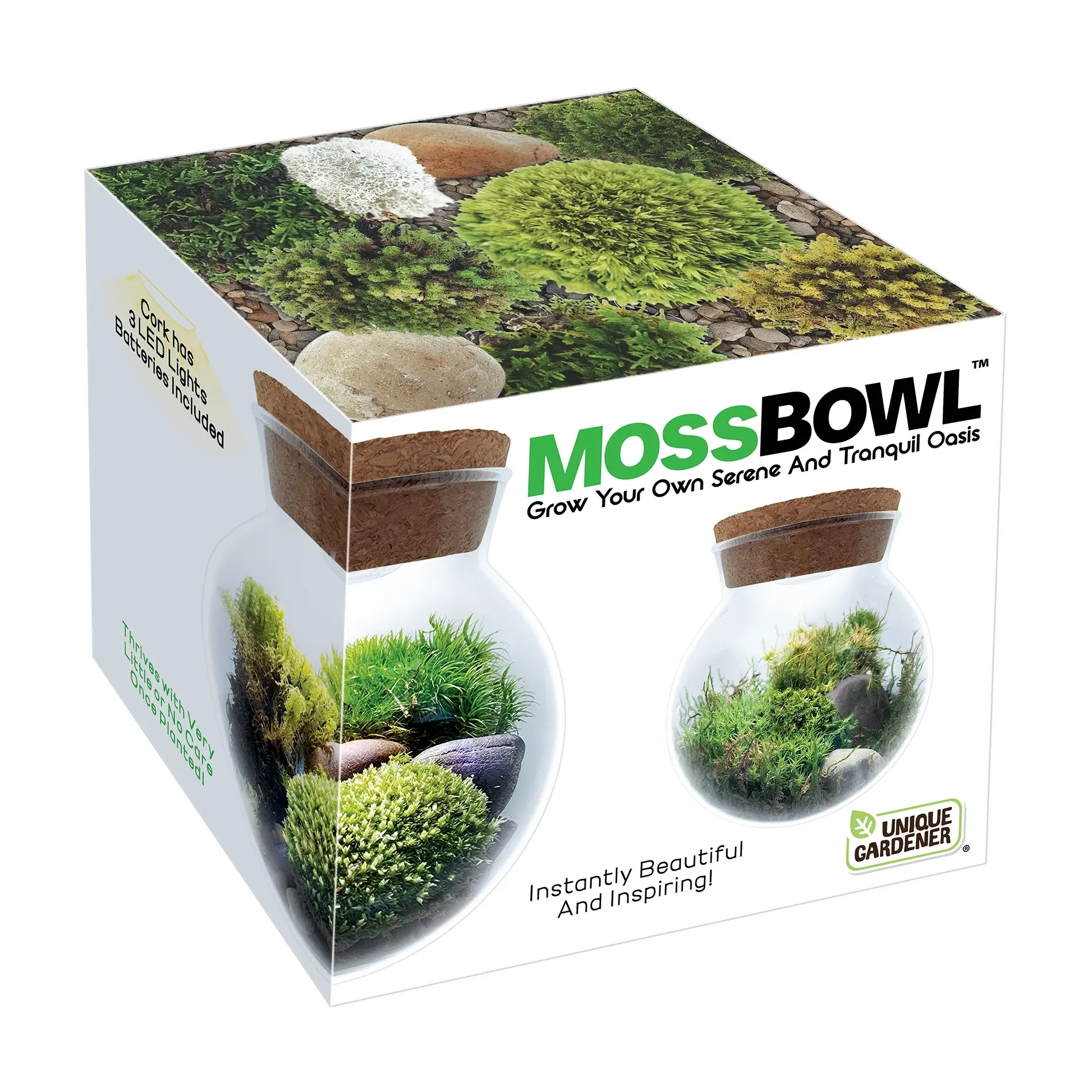 Moss Bowl - Grow Your Own Oasis