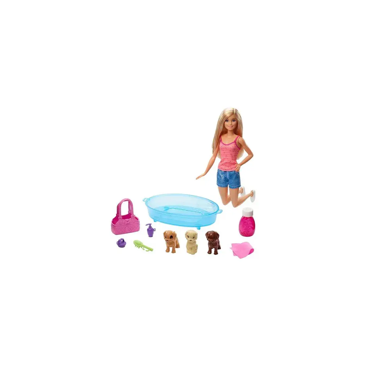 Barbie Barbie Doll & Accessories