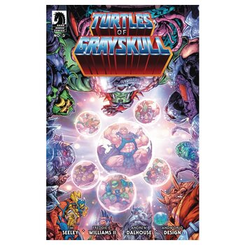 IDW MOTU/TMNT GRAY #3 (CVR A)