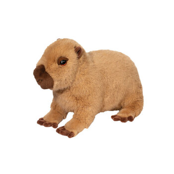 Douglas Chattie Capybara Soft large