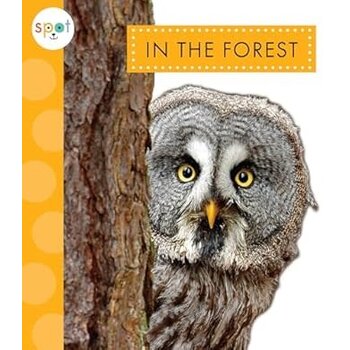 Chronicle Spot Nature: In the Forest