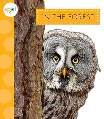 Chronicle Spot Nature: In the Forest