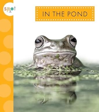 Chronicle Spot Nature: In the Pond