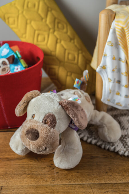 Mary Meyer Taggies Buddy Dog Soft Toy