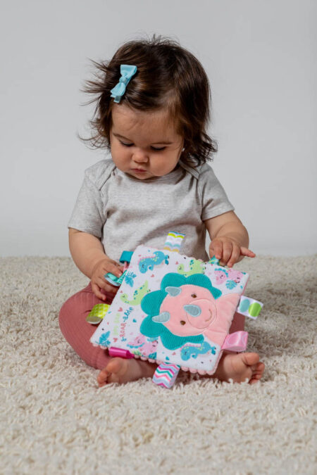 Mary Meyer Taggies Aroar-a-saurus Crinkle Me